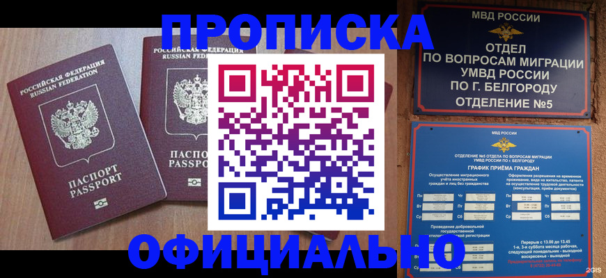 найти адрес прописки в Чечне